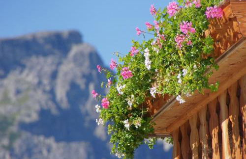 Agriturismo Grones - Photo 9