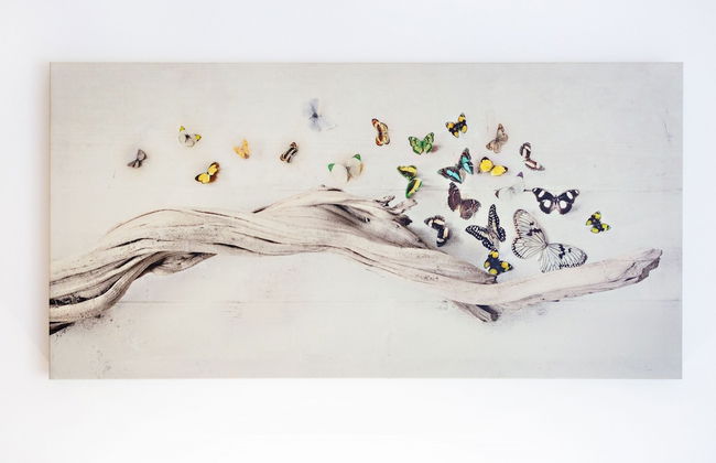 Cam lia in Tavira With 2 Bedrooms and 2 Bathrooms - Foto 11