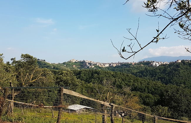 Agriturismo Cisogna - Foto 32