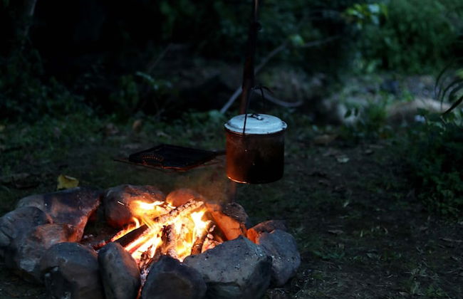 Mt Warning Rainforest Park - Photo 18