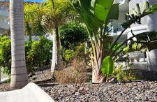 Casa Martin - Foto 25