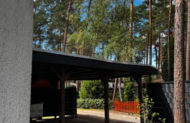 Kiefernblick - Foto 20