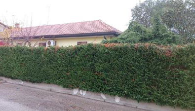 Villa Polesine - Foto 5