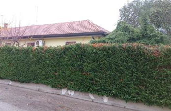 Villa Polesine - Foto 6