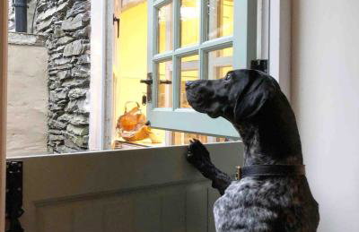 Ashdene Cottage with secure 'sun trap' garden - Foto 21