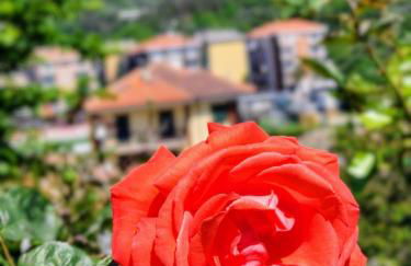 La Casetta dà Pa' e Na' - Photo 14