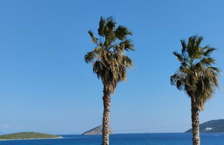 Artemis sea house - Foto 43