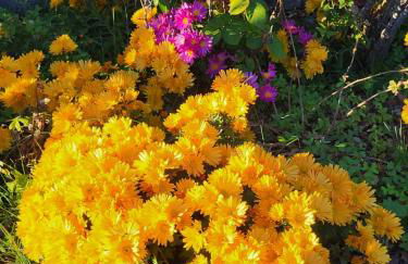 Casa Intignano - appartamento con terrazzo vista lago - Foto 24