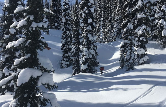 Snowy Mountain Lodge - Foto 17