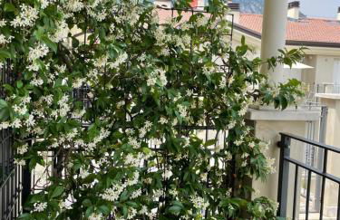 Lago di Garda a 100m - Fasanella Penthouse - Foto 37