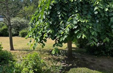 Wohnen am Schloss - Foto 20