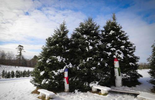 Experience the Rocks Estate like never before with a stay at the Gardeners Cottage! - Foto 33