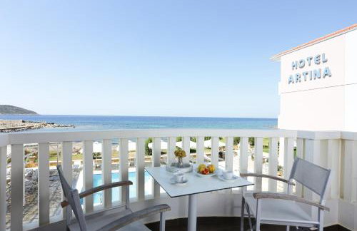 Artina Hotel - Foto 73