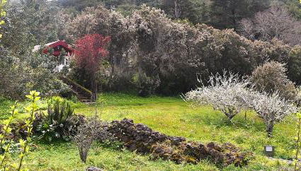 Casa Rural La Gustoza - Foto 4, Garden view