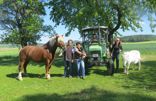 Ponyhof Adam Urlaub auf dem Bauernhof - Foto 7