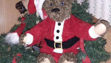 FW Bines Rosengarten - Foto 2