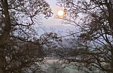 Beautiful Bungalow in Wetheral - Foto 37