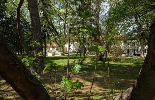 Mas 9 Romanin - Mas Provençal Familial - Foto 27