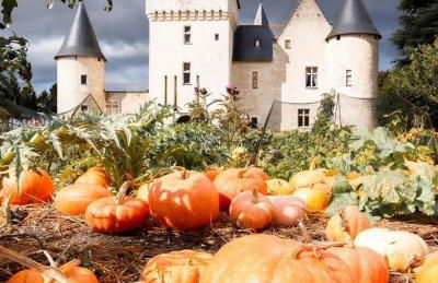 85 l idéal , quiet charm in Tours - Foto 50