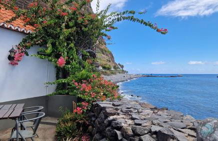 Fajã dos Padres - Foto 58