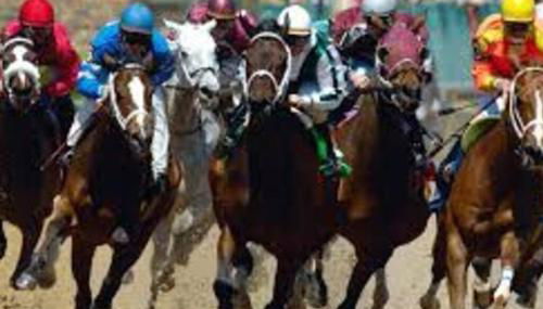 Oakwood Manor - Steps to Oaklawn, minutes to Downtown, Lakes, More - Foto 3