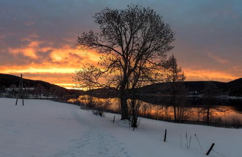 Abnoba Mons Design Apartment Lenzkirch - Photo 28