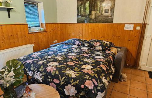 Kleines Ferienhaus Luettje Backhuus 35516 - Foto 16