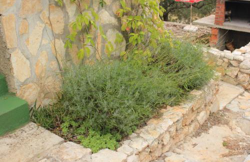 Secluded fisherman's cottage Cove Ladjin - Landjin, Pasman - 8500 - Photo 13