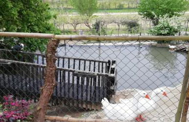 My Portugal for All - Lousada Villa - Foto 51