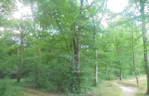 Gîtes de l'Orée du Bois - Boussières - Foto 64