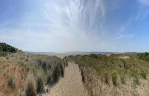 De La Terre Locan - Foto 19