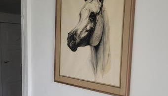 Haus Evelynchen Apartment 1 Deutschhof - Foto 5