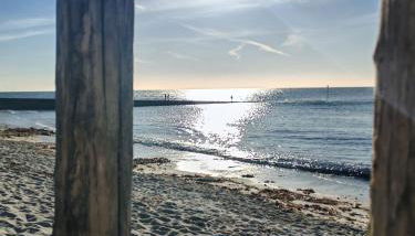 Les Cerisiers du Rouz - Foto 3