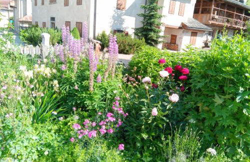 Da Carla Dolomiti Val di Zoldo - Foto 29