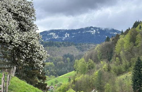 Wolfshound Cottage - Foto 45