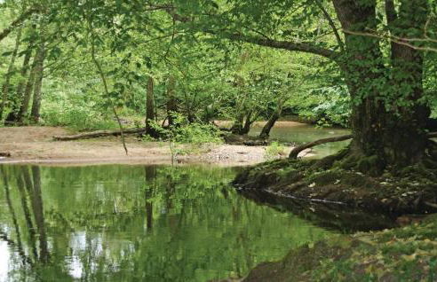 7 Bedroom Stunning Home In Ardentes - Foto 12