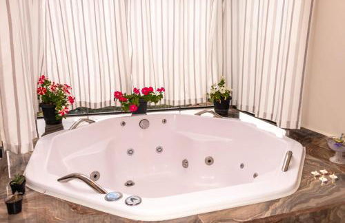 Elysium Araucária Tiny house - Foto 16