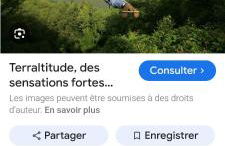 La Rose du Bel Homme - Foto 19