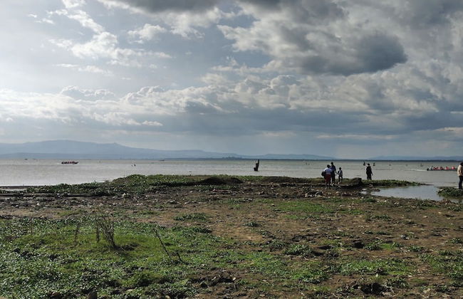 Daisy Cottages Kenya - Foto 12