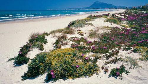 Apartamento Aguamar - Photo 5