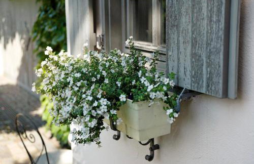 Ferienwohnung Schmid - Foto 16