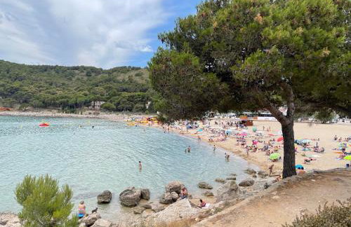 Résidence Cala Montgo - Foto 79