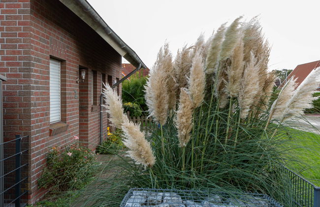 Deichblick - Foto 36