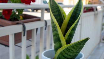 Casa Vacanze La Casetta di Zinu' - Foto 4