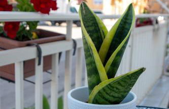 Casa Vacanze La Casetta di Zinu' - Foto 4