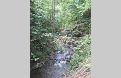 Los Molinos - Atico en Montaña de Asturias - Foto 55