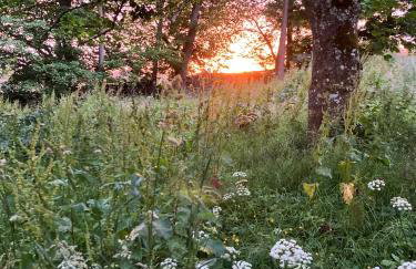 Elishaw Farm Holiday Cottages - Foto 3