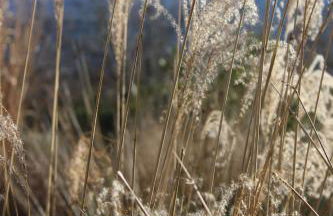 CHEZ ELLES EN PROVENCE - Photo 62