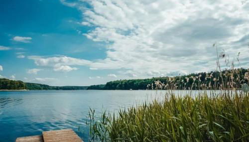 Kleine Holzhütte - Foto 2