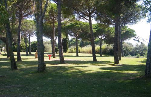 Perle méditerranéenne au coeur du port de Gruissan - Foto 18